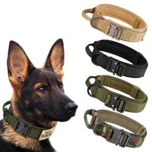 Dog Training Adjustable Tactical Dog Collar And Leash Set