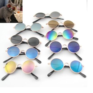 Pet Cat Dog Glasses