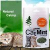 Cats Supplies Mint Leaf Powder Bagged 5g