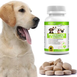 Probiotics and Enzymes Suitable for All Dogs