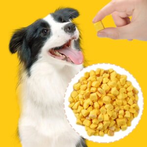 Freeze-dried Egg Yolks Cat Dog Snack 100g/200gsupplement Lecithin Hair Snacks