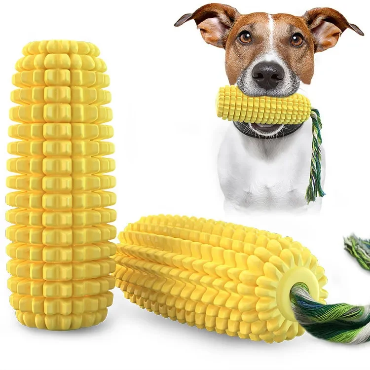 corn with vocal