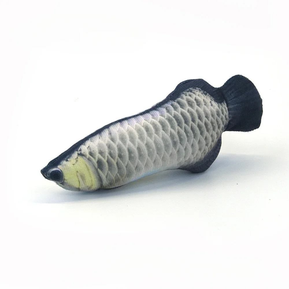 Silver Arowana