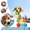 Interactive Dog Ball – Elastic Puppy Chew Toy for Fun