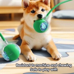 Dog Smart Interactive Tease Toys