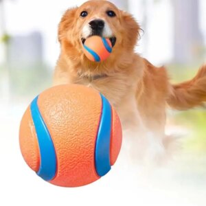 Dog Fetch Ball Tough Puppy Chew Toy