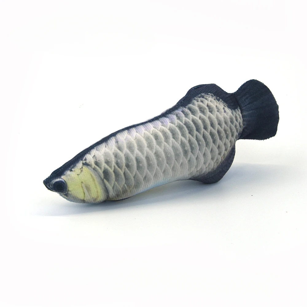 Silver Arowana